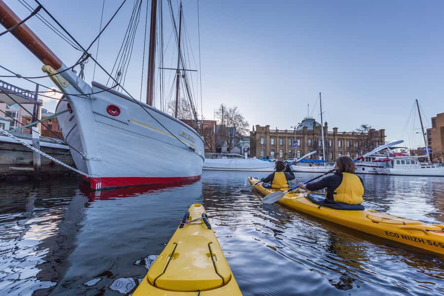 Hobart City 2.5-Hour Kayak Tour - Key highlights you’ll care about
