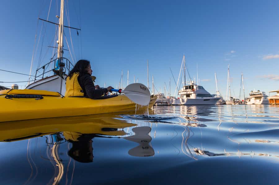 Hobart City 2.5-Hour Kayak Tour - The Hobart docks area: yachts, tall ships, and real harbor life