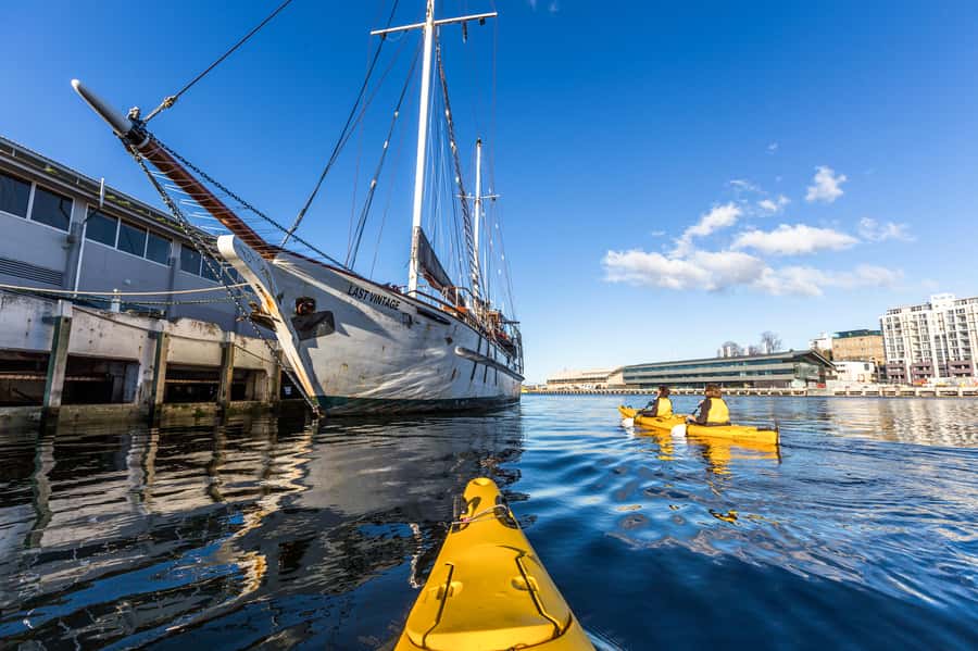 Hobart City 2.5-Hour Kayak Tour - Who should book (and who should skip)