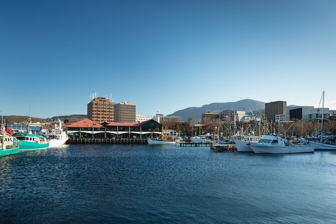 Hobart City Sightseeing Tour including MONA Admission - Quick reasons this tour makes sense
