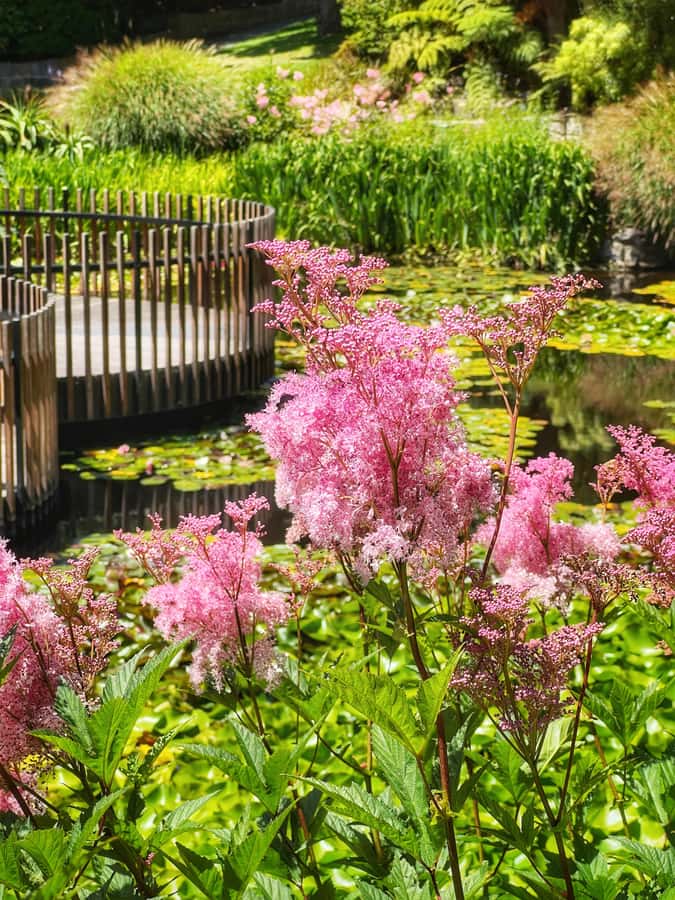 Hobart: Full-Day Bonorong Wildlife Sanctuary & Richmond Tour - Key things that make this tour worth your time