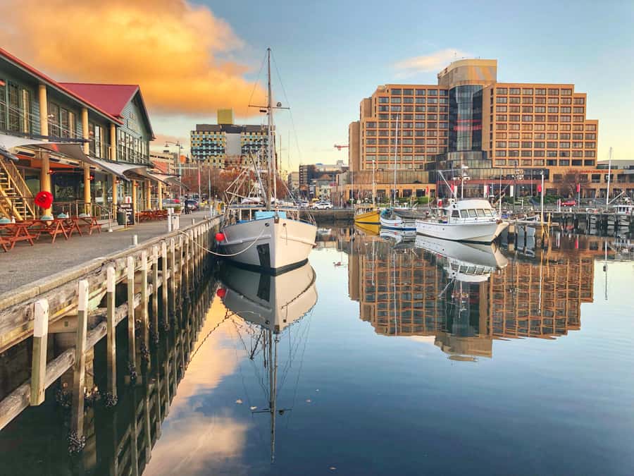 Hobart: Full-Day Bonorong Wildlife Sanctuary & Richmond Tour - Richmond historic village: 70 minutes to walk, shop, and spot old Tasmania