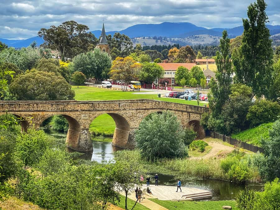 Hobart: Full-Day Bonorong Wildlife Sanctuary & Richmond Tour - The full 8-hour rhythm: where you’ll feel rushed and where you’ll feel free