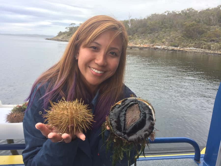 Hobart: Full-Day Tasmania Gourmet Seafood Cruise - What Makes This Cruise Special (Oysters, Seafood, and Two Local Guides)