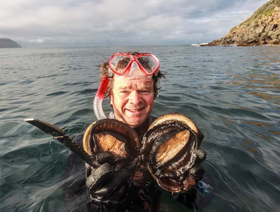 Hobart: Full-Day Tasmania Gourmet Seafood Cruise - Hobart to Bruny Island: How the Day Feels Like a Food Trip and a Nature Trip