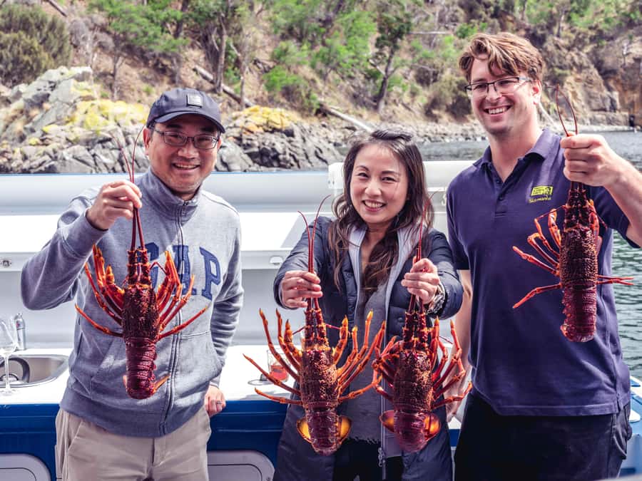 Hobart: Full-Day Tasmania Gourmet Seafood Cruise - Best Fit: Who Will Love This Cruise
