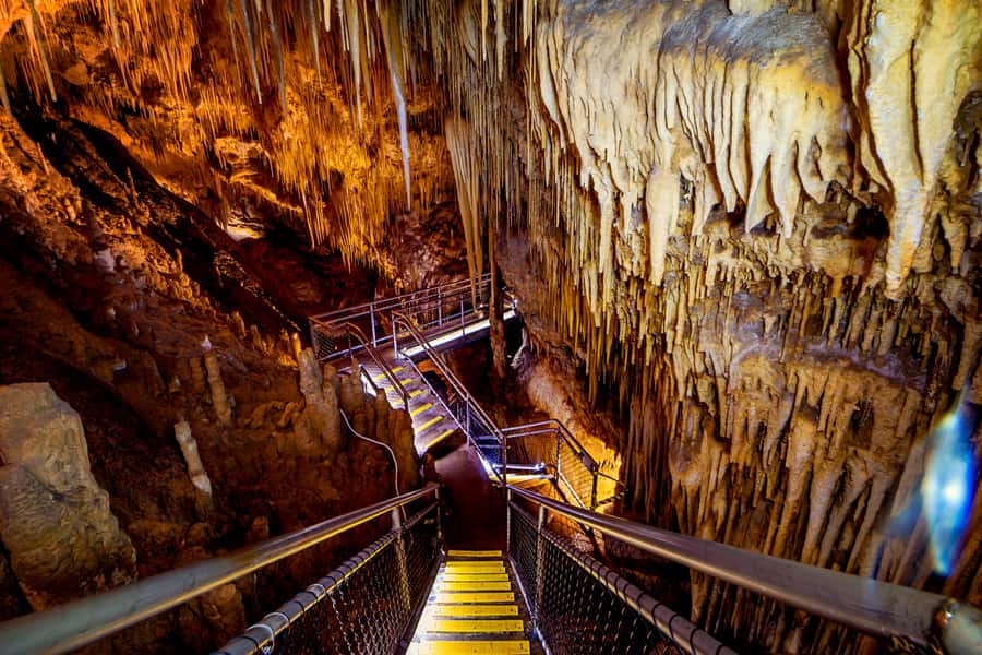 Hobart: Hastings Cave, Tahune Airwalk and Huon Tasting Trail - Key things you will remember