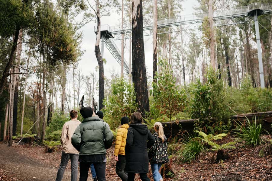 Hobart: Hastings Cave, Tahune Airwalk and Huon Tasting Trail - Starting in Hobart: the Huon Valley drive and what you are actually buying