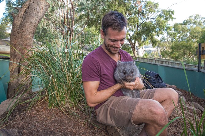 Hobart Highlights Day Tour - Key Things That Make This Hobart Tour Work