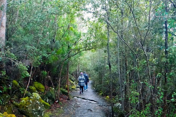Hobart Hop-On Hop-Off Bus & kunanyi/Mt Wellington Tour - Touring strategy: photos, weather, and finding your stops fast