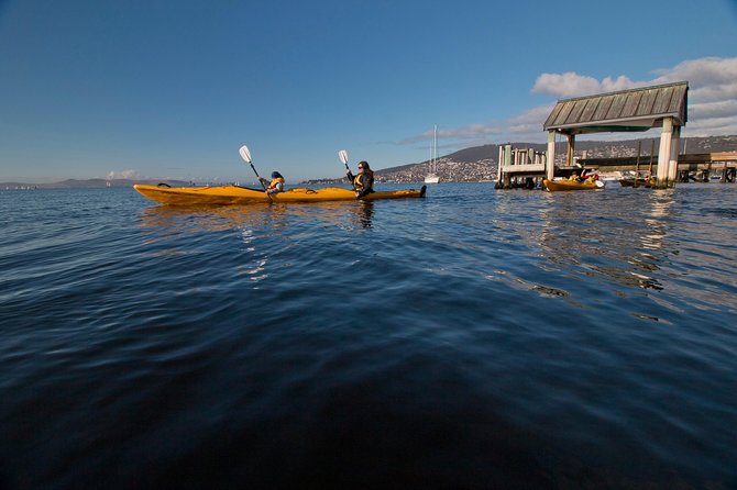 Hobart Kayak Tour - Choosing Your Hobart Kayak Tour Length: City, Cliffs, Caves, or Tasman Peninsula