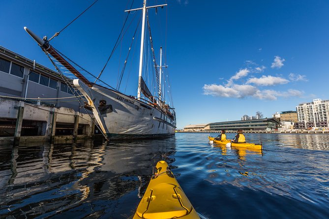 Hobart Kayak Tour - The City Route on the River Derwent: Battery Point Views Without the Rush
