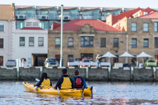 Hobart Kayak Tour - Tasman Peninsula Wildlife on the 10-Hour Day: Big Day Energy for the Fit