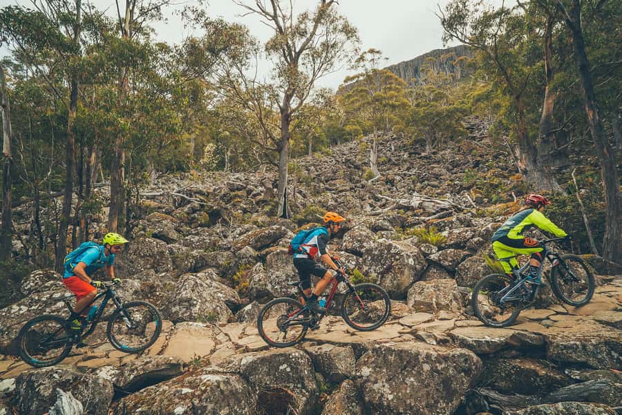 Hobart: kunanyi/Mt Wellington Explorer Bus Pass - Comfort, Accessibility, and Onboard Extras