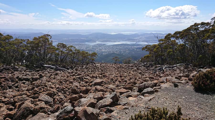 Hobart: kunanyi/Mt Wellington Explorer Bus Pass - Wellington Park Trails and Bushwalking Map: Turning a View Into an Activity