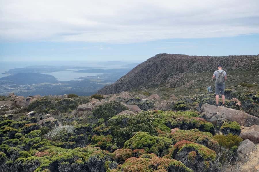 Hobart: kunanyi/Mt Wellington Explorer Bus Pass - Price and Value: Is $35 Worth It?