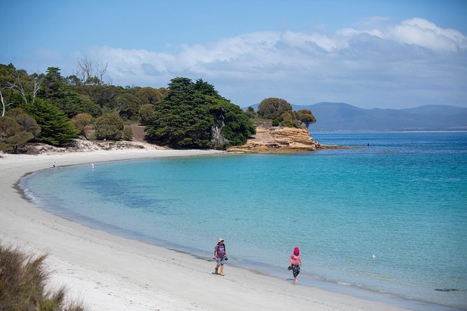 Hobart: Maria Island National Park - Nature & Wildlife Adventure - Morning Setup in Hobart and the Triabunna Start