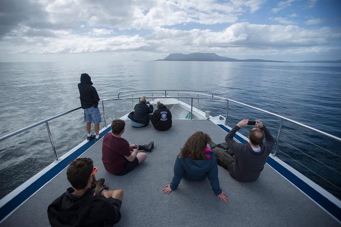 Hobart: Maria Island National Park - Nature & Wildlife Adventure - Bays, Beaches, Swimming, and Watching the Water