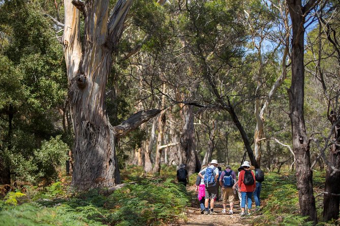 Hobart: Maria Island National Park - Nature & Wildlife Adventure - Wildlife Viewing That Actually Respects the Animals