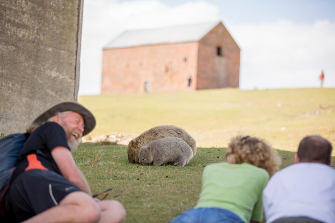 Hobart: Maria Island National Park - Nature & Wildlife Adventure - What to Pack for a 12-Hour Island Day (No Shops on Maria)