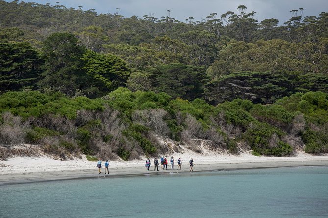 Hobart: Maria Island National Park - Nature & Wildlife Adventure - Who This Tour Fits Best (and Who Should Skip It)
