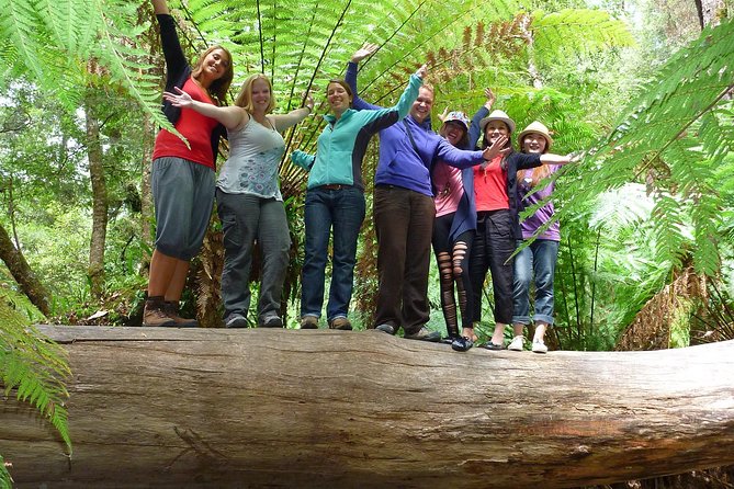 Hobart: Mt. Field, Mt Wellington & Wildlife - Active Day Tour - Why this Hobart day works: waterfalls, devils, and summit views