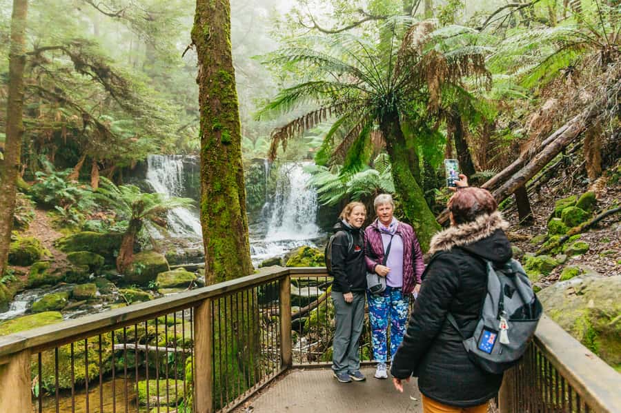 Hobart: Mt Wellington, Mt Field, Bonorong and Richmond Trip - Price and value: what $126 buys you on a “big stops” day