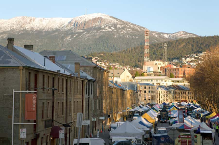 Hobart: nipaluna Half-Day Highlights Tour - Key highlights to know before you go