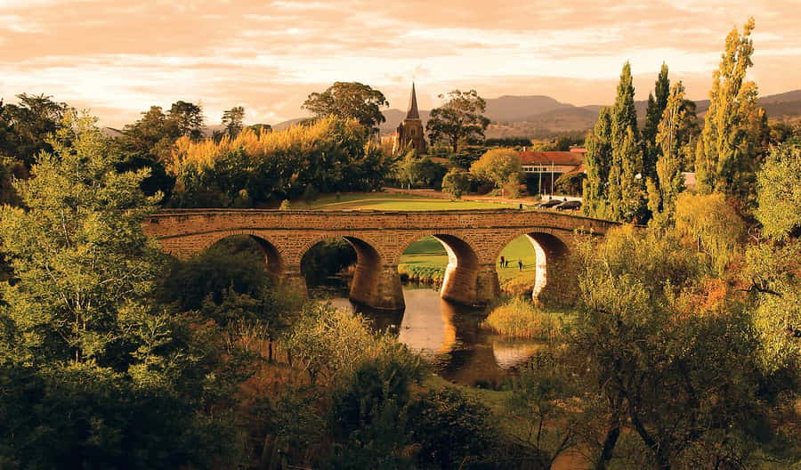 Hobart: nipaluna Half-Day Highlights Tour - A half-day tour that actually helps you plan the rest of your trip