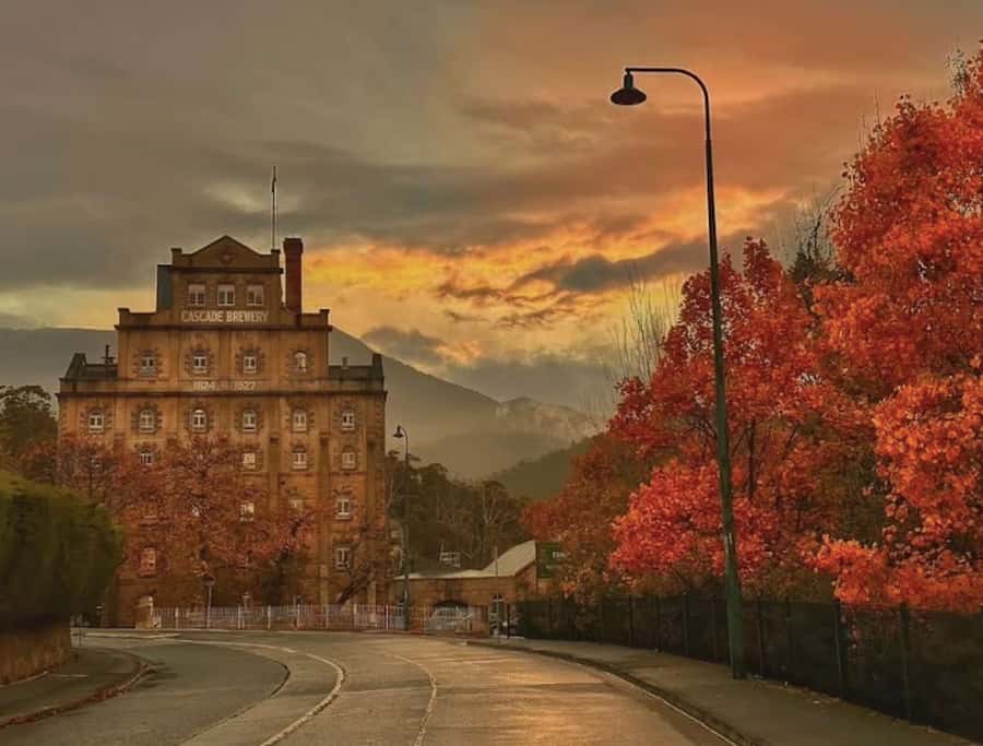 Hobart: nipaluna Half-Day Highlights Tour - The Hobart city loop with guided commentary: landmarks without the map headache