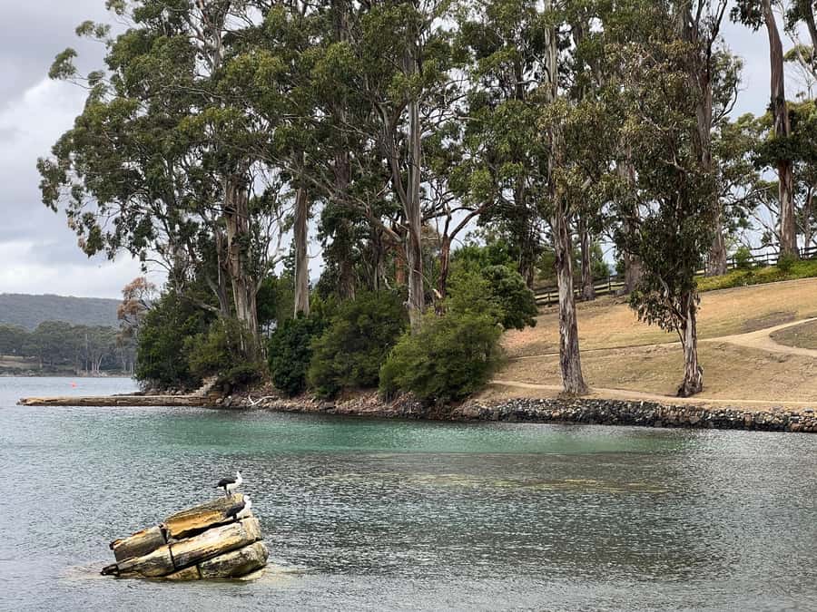 Hobart: Port Arthur & Tasman Park Full-Day Trip with Cruise - Who this full-day Hobart to Port Arthur trip is best for