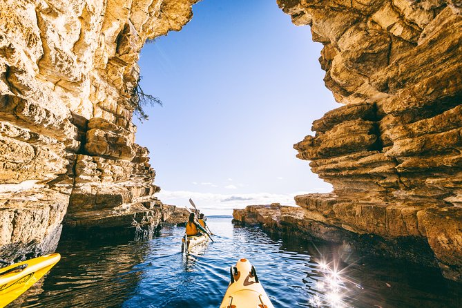Hobart's Cliffs, Caves and Beaches Kayak Tour - Key things that make this Hobart kayak day special