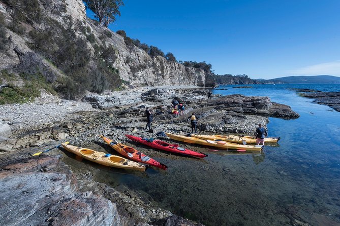 Hobart's Cliffs, Caves and Beaches Kayak Tour - Afternoon paddle: Derwent River cruising and wildlife chances