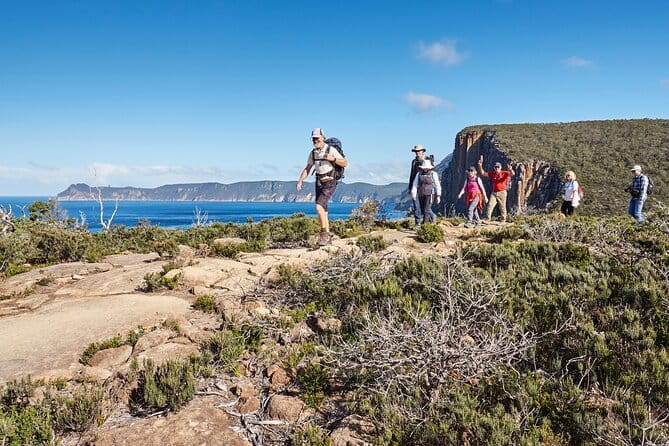 Hobart's Cliffs, Caves and Beaches Kayak Tour - Price and value: what you’re paying for at $211.59