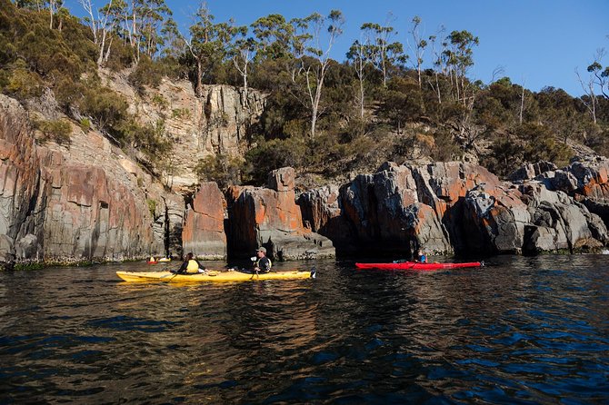 Hobart's Cliffs, Caves and Beaches Kayak Tour - Logistics that matter: meeting point, transport, and what to bring