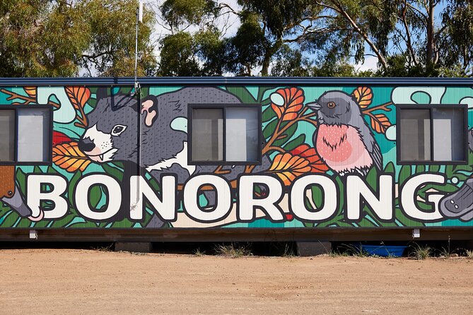 Hobart Shore Excursion: Bonorong Bus - The Derwent River Drive: Views With Minimal Effort