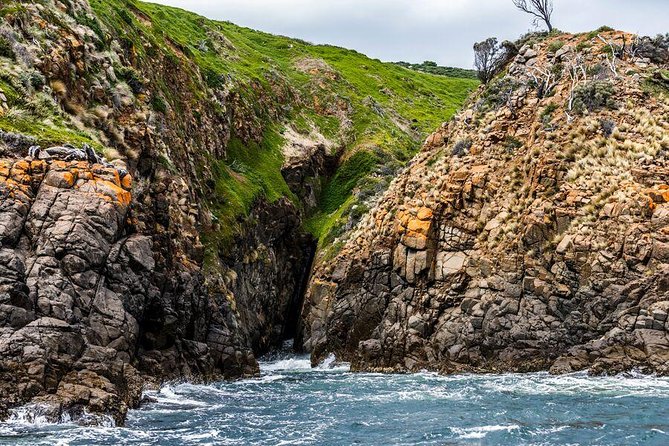 Hobart Sightseeing Cruise including Iron Pot Lighthouse - Quick take: what makes it feel worth $104