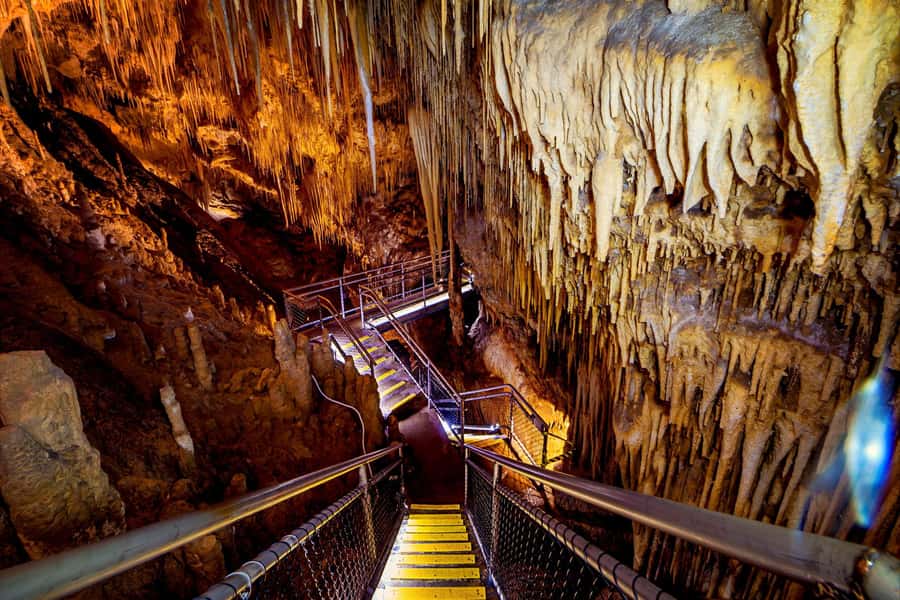 Hobart: Tahune Airwalk & Hastings Caves - Active Day Tour - Key things I’d circle before you go