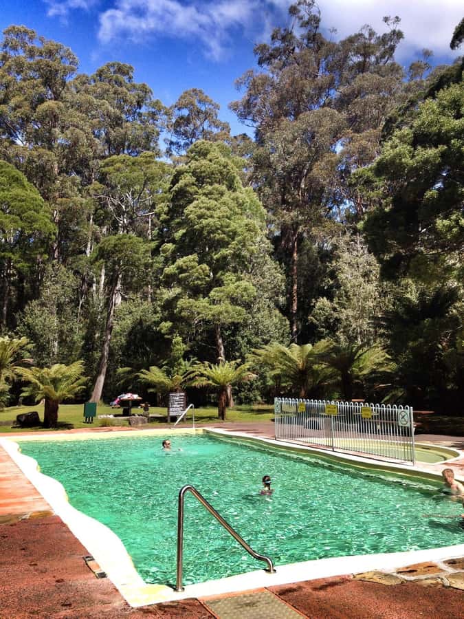 Hobart: Tahune Airwalk & Hastings Caves - Active Day Tour - Cantilever walking turns into swinging bridges (and great photo stops)