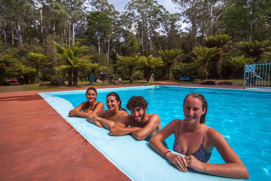 Hobart: Tahune Airwalk & Hastings Caves - Active Day Tour - Huon Pine Walk: the easy 20 minutes that teaches you Tasmania