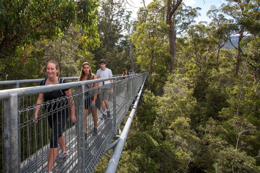 Hobart: Tahune Airwalk & Hastings Caves - Active Day Tour - Hastings Caves Reserve: thermal swim time at 28°C