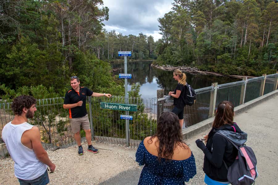 Hobart: Tahune Airwalk & Hastings Caves - Active Day Tour - What’s included (and what isn’t) so you don’t get surprised