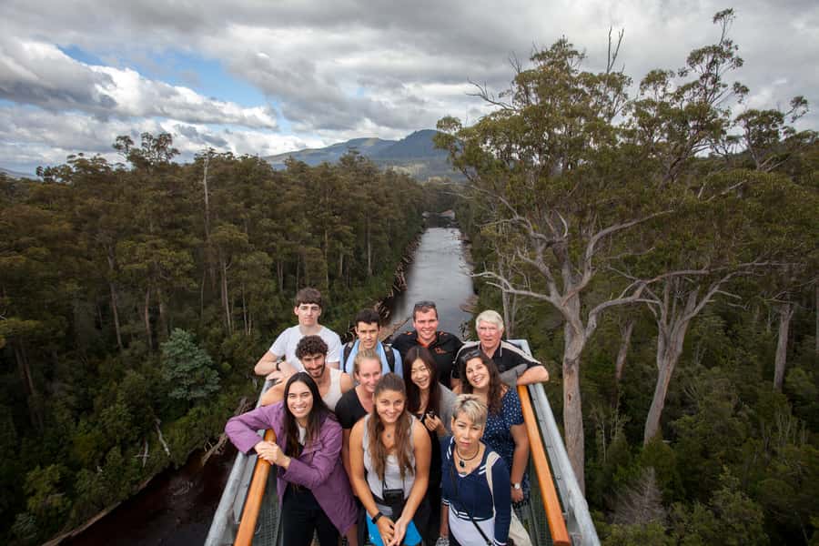 Hobart: Tahune Airwalk & Hastings Caves - Active Day Tour - Value check: why $135 feels fair for this combo day