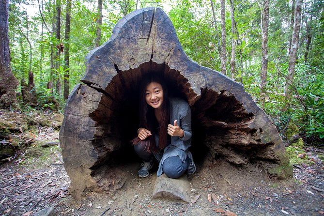 Hobart: Tahune Airwalk, Hastings Caves & Thermal Springs Pool - Treetops to cave chambers: how the 10-hour rhythm fits together