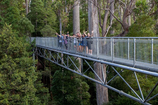 Hobart: Tahune Airwalk, Hastings Caves & Thermal Springs Pool - Platypus Walk and river bridges: wildlife watching without the chase