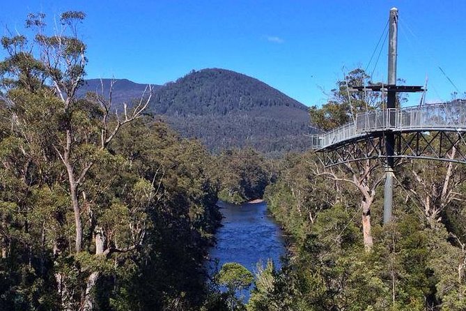 Hobart: Tahune Airwalk, Hastings Caves & Thermal Springs Pool - Who should book this Hobart day trip, and who might skip it