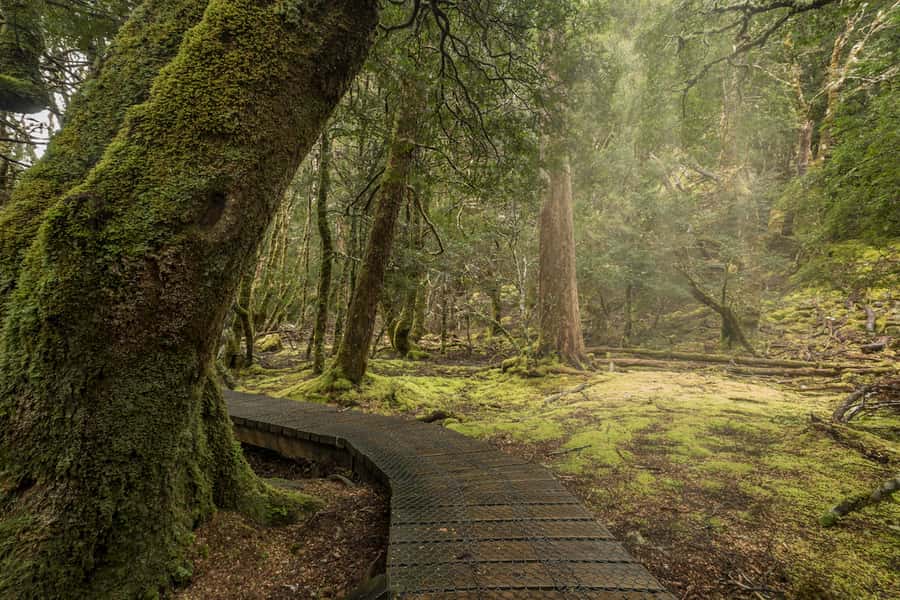 Hobart to Cradle Mountain to Launceston - Price and value: what $194 buys you