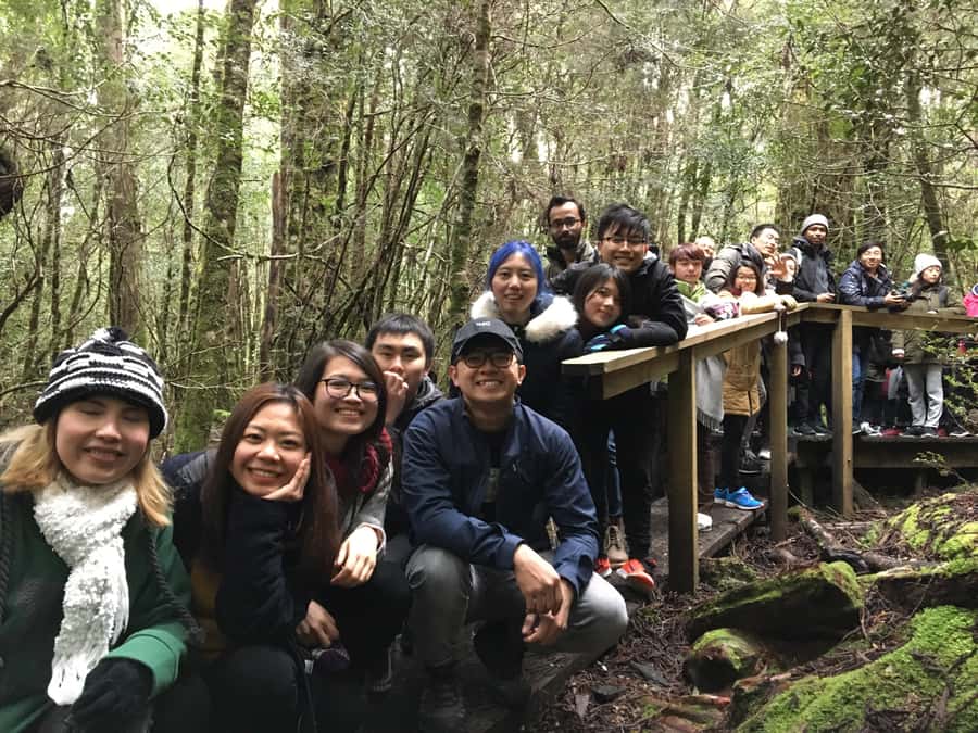 Hobart to Cradle Mountain to Launceston - Dove Lake circuit: the 2-hour walk that anchors the day
