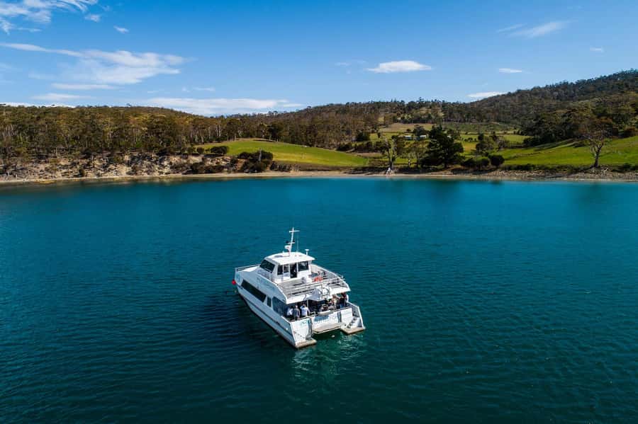 Hobart: Ultimate Seafood Cruise on a Spacious Catamaran - Key things I’d plan around
