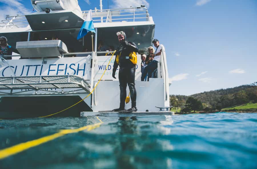 Hobart: Ultimate Seafood Cruise on a Spacious Catamaran - A 4.5-hour Hobart seafood cruise that feels like a working lunch